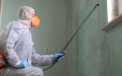 Does Exposure to Mold Qualify for a Workers’ Comp Claim? 